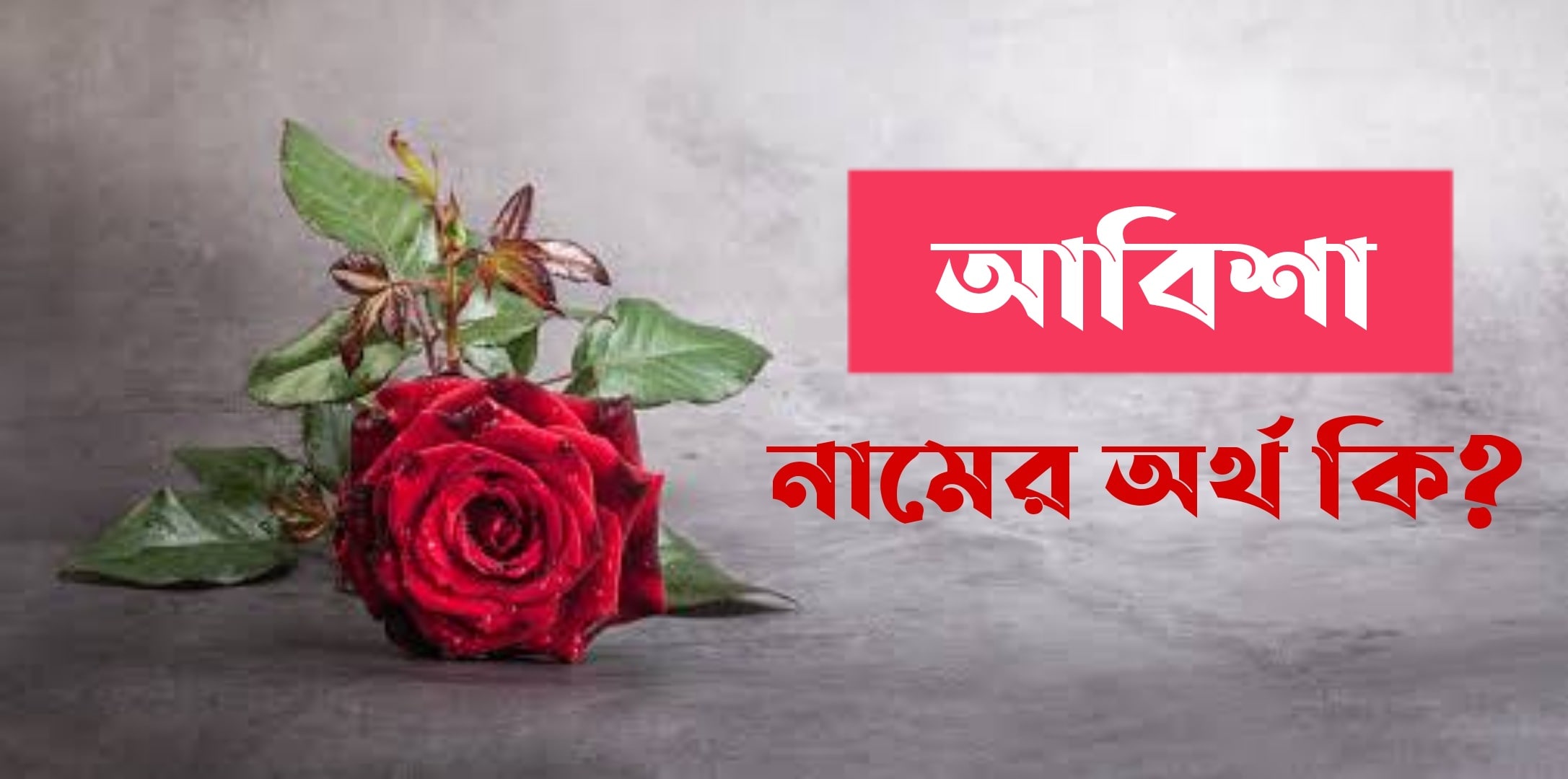 আবিশা নামের অর্থ কি? Abisha Name meaning in Bengali