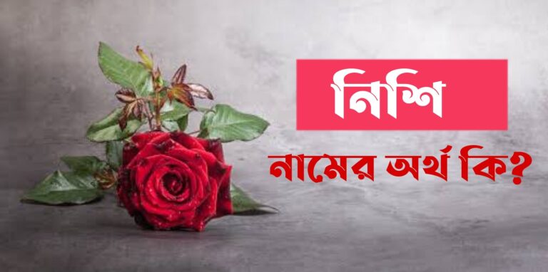 নিশি নামের অর্থ কি? Nishi Name meaning in Bengali