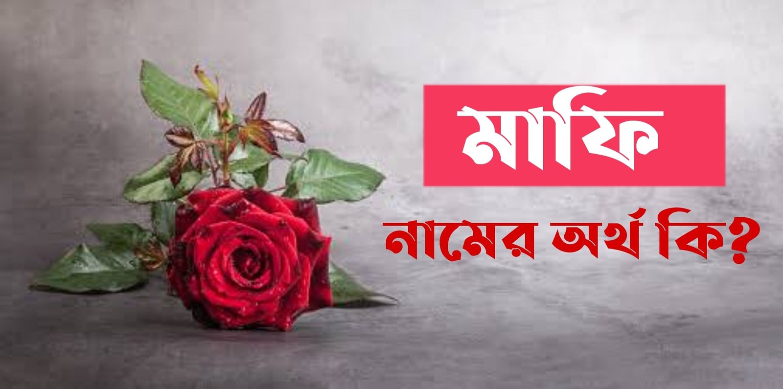 mafi-name-meaning-in-bengali-name-bangla