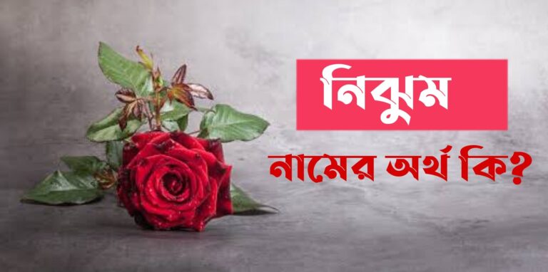 নিঝুম নামের অর্থ কি? Nijhum Name meaning in Bengali