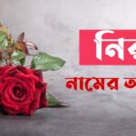 নিরব নামের অর্থ কি? Nirob Name meaning in Bengali