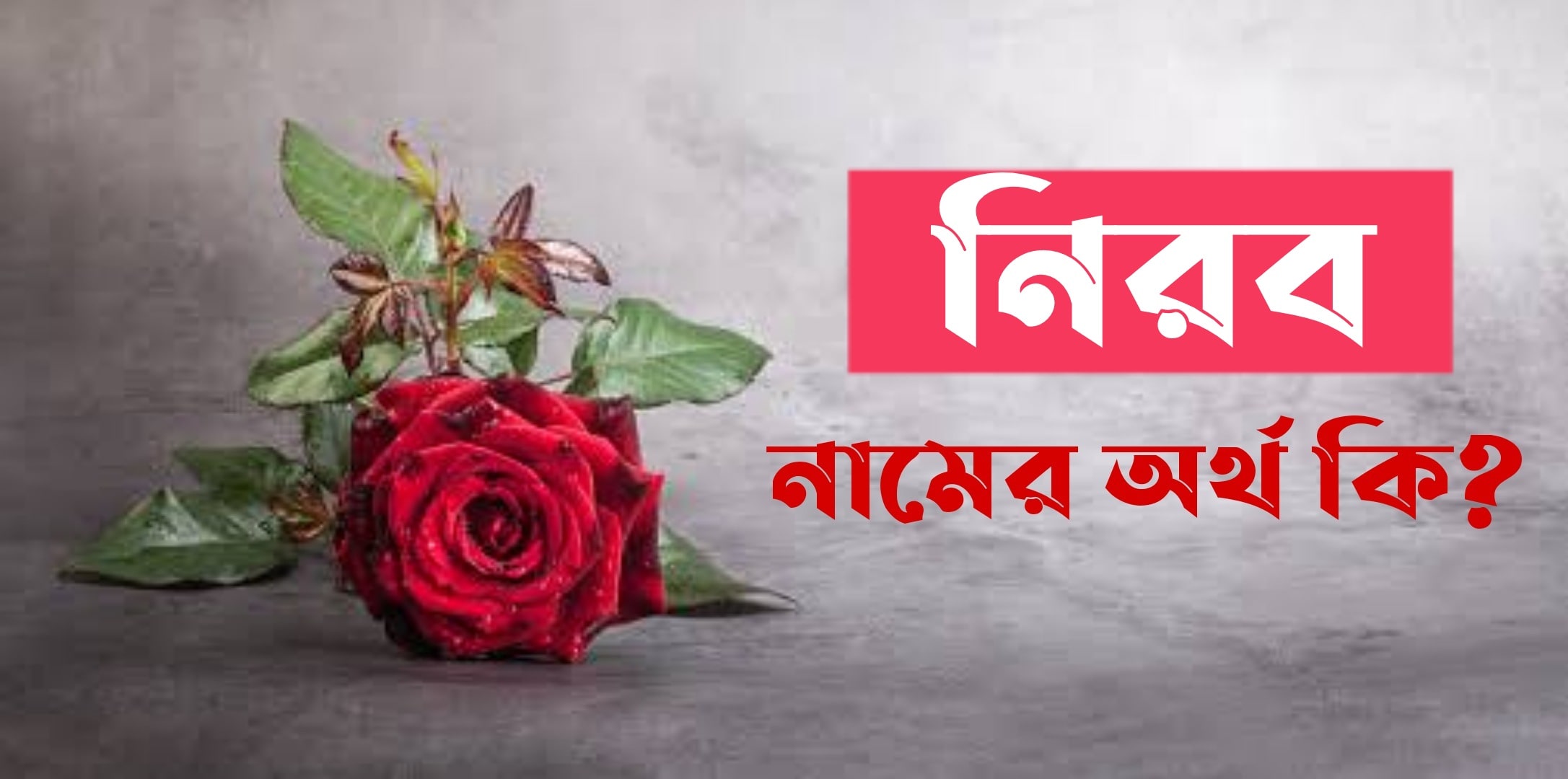 নিরব নামের অর্থ কি? Nirob Name meaning in Bengali