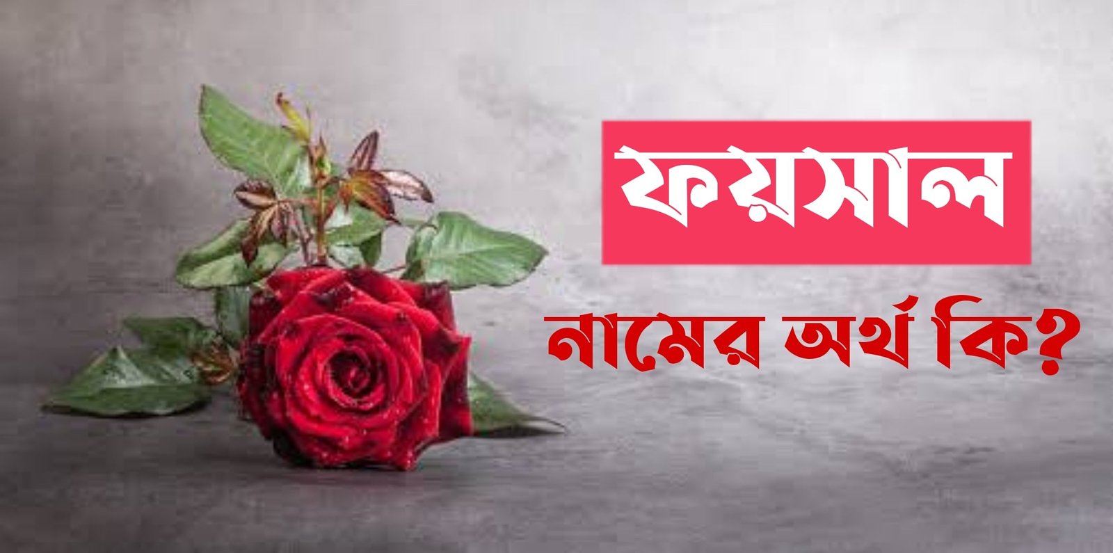 faysal-name-meaning-in-bengali-name-bangla