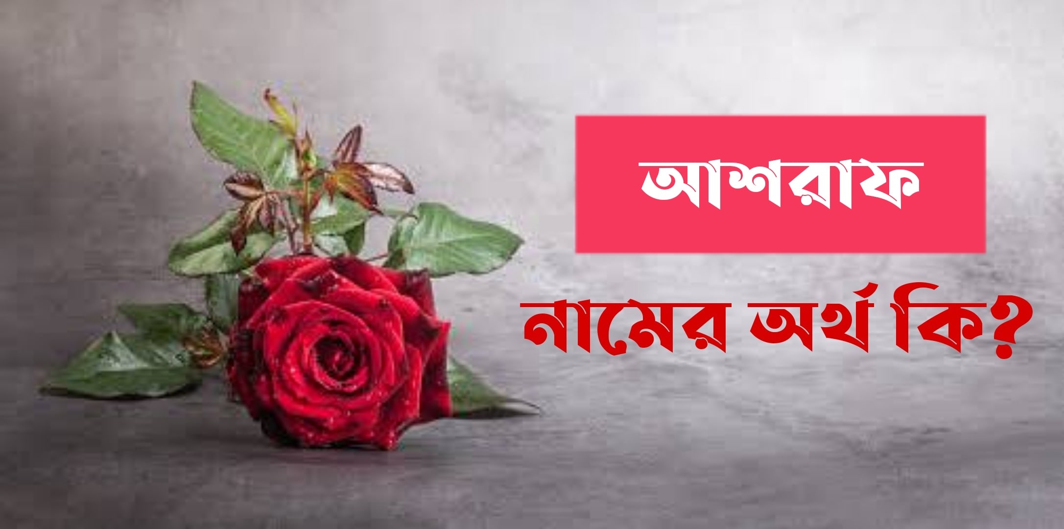 আশরাফ নামের অর্থ কি? Ashraf Name meaning in Bengali