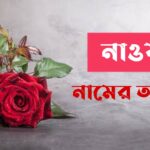 নাওয়াফ নামের অর্থ কি? Nawaf Name meaning in Bengali