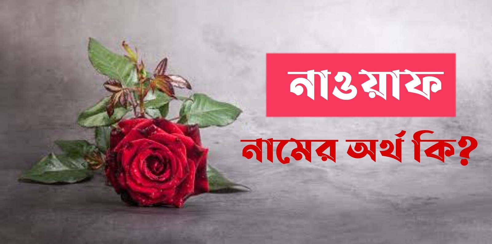 nawaf-name-meaning-in-bengali-name-bangla