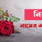 নিঝু নামের অর্থ কি? Niju Name meaning in Bengali