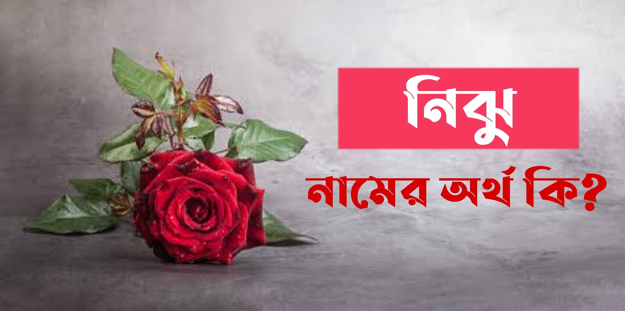 নিঝু নামের অর্থ কি? Niju Name meaning in Bengali