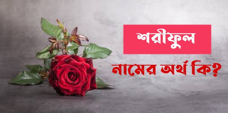 শরীফুল নামের অর্থ কি? Shariful Name meaning in Bengali