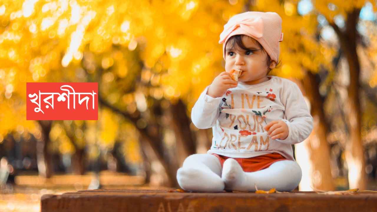 খুরশিদা নামের অর্থ কি? Khursida Name meaning in Bengali