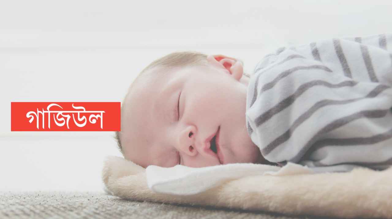 গাজীউল নামের অর্থ কি? Ghaziul Name meaning in Bengali