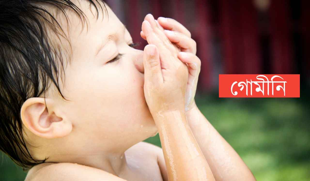 গোমিনী নামের অর্থ কি?Gomini Name meaning in Bengali