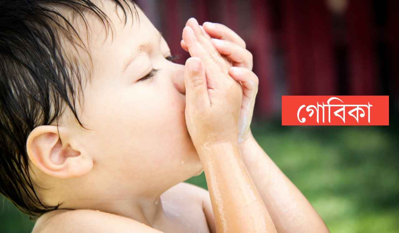 গোবীকা নামের অর্থ কি? Gobika Name meaning in Bengali