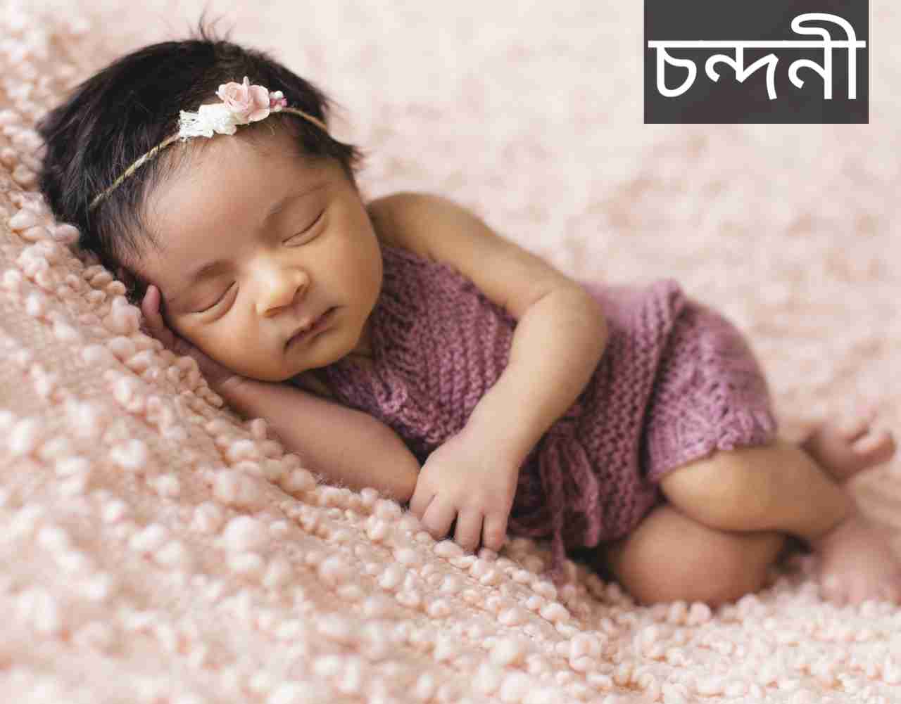 চন্দনী নামের অর্থ কি? Chandani Name meaning in Bengali