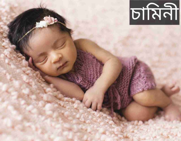 চামিনী নামের অর্থ কি? Chaminy Name meaning in Bengali