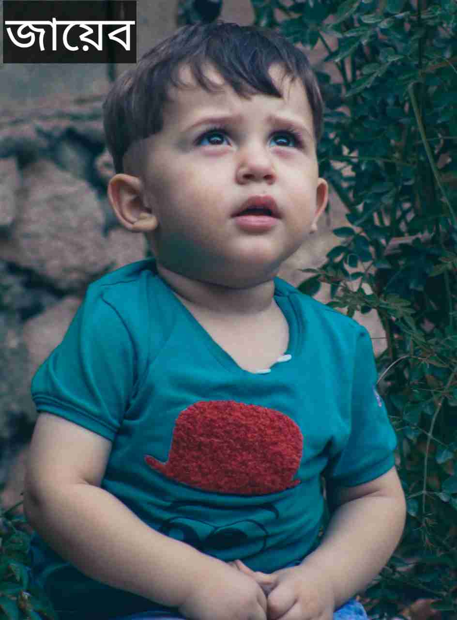 জায়েব নামের অর্থ কি? Zaib Name meaning in Bengali