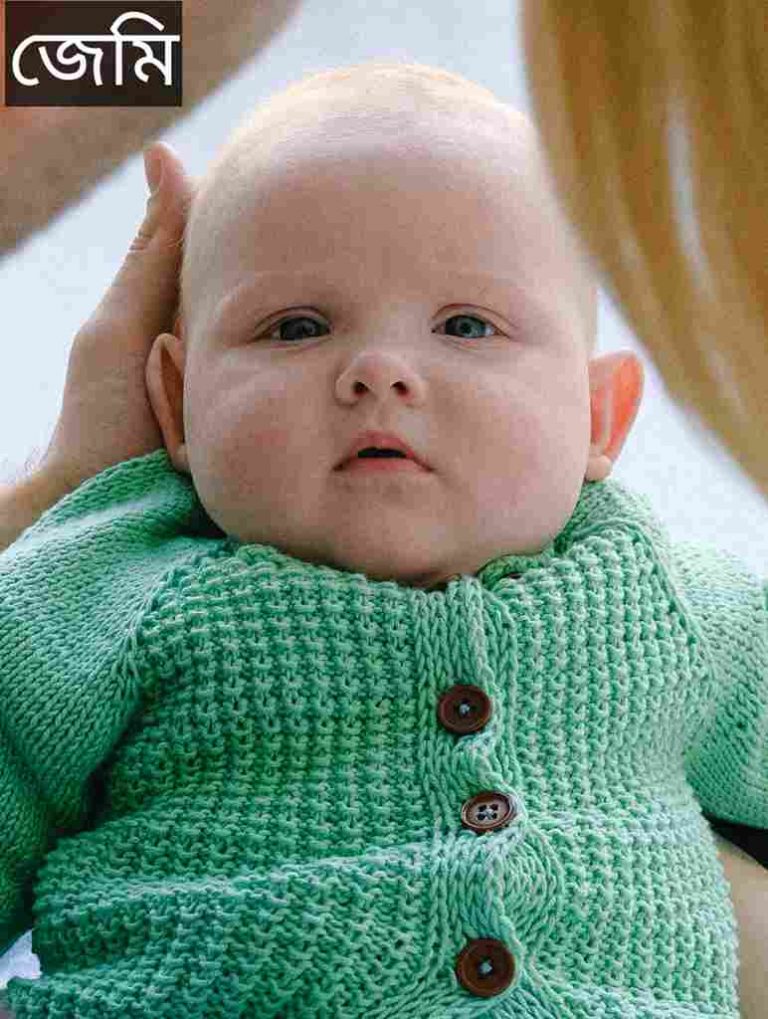 জেমি নামের অর্থ কি? Jamie Name meaning in Bengali