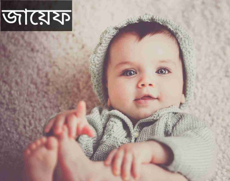 জায়েফ নামের অর্থ কি? Zayef Name meaning in Bengali
