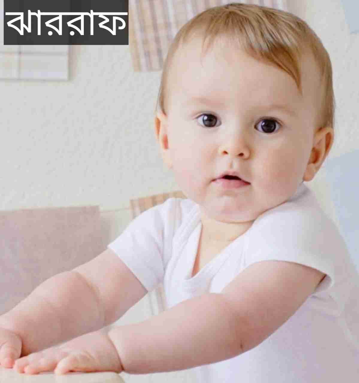 ঝাররাফ নামের অর্থ কি? Jharraf Name meaning in Bengali