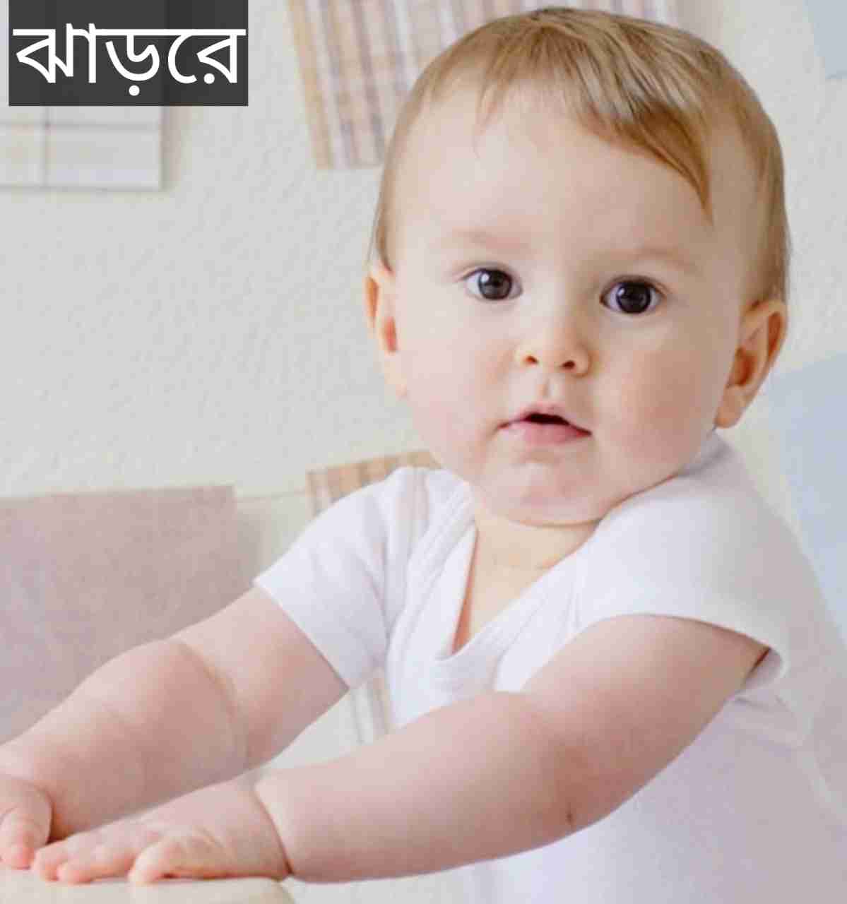 ঝাড়রে নামের অর্থ কি? Jharray Name meaning in Bengali