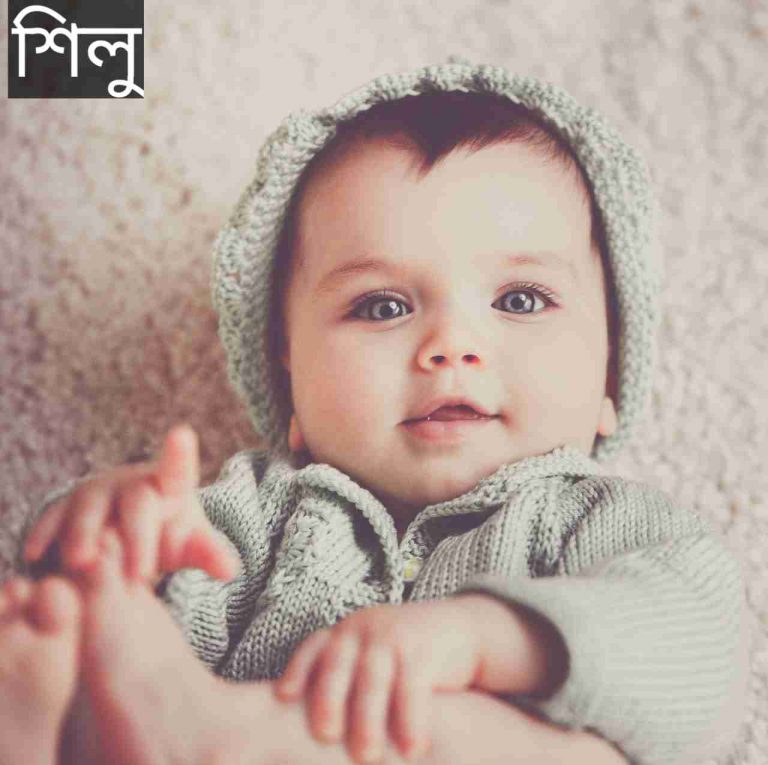 শিলু নামের অর্থ কি? Shilu Name meaning in Bengali
