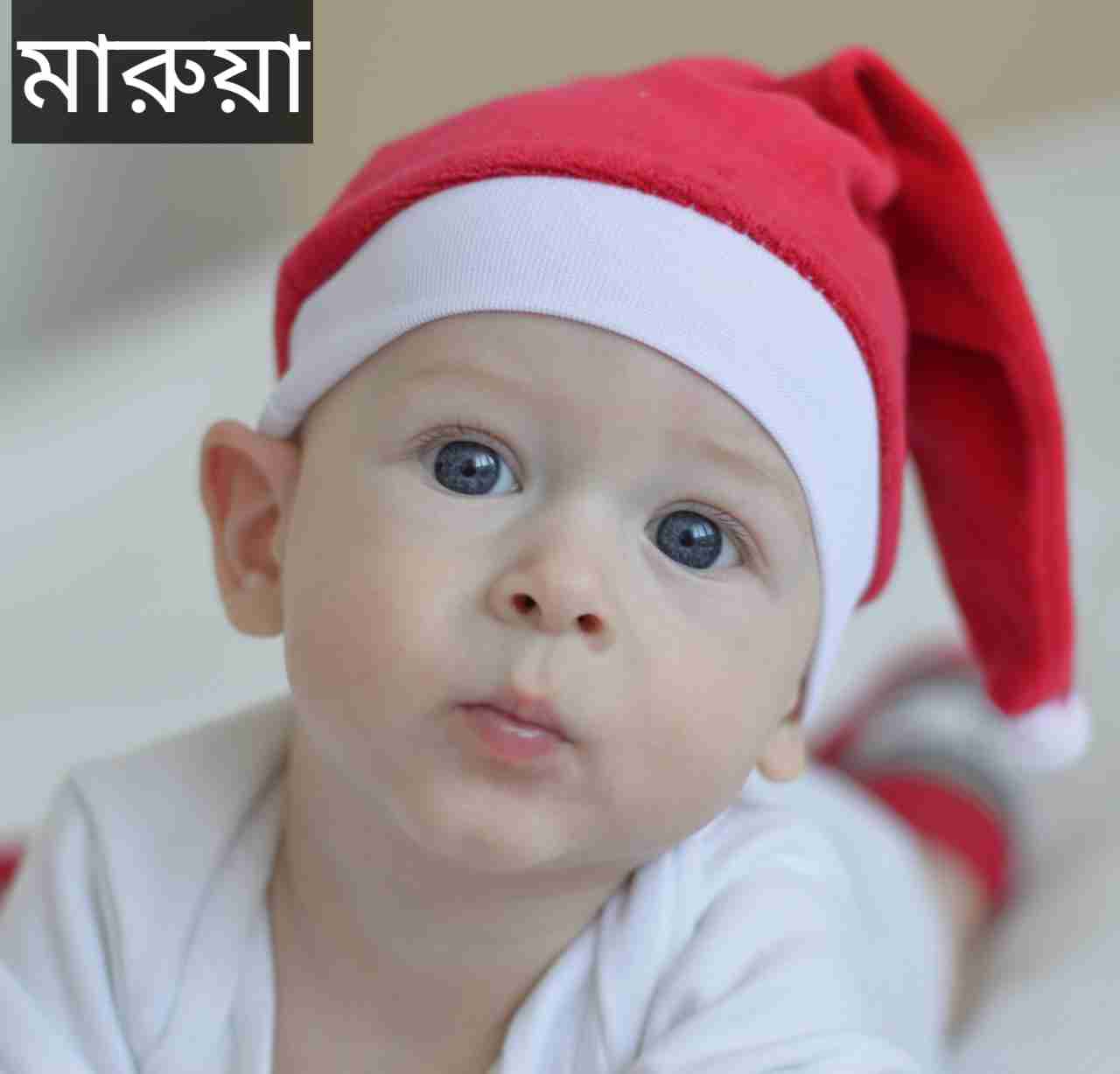 মারুয়া নামের অর্থ কি? Marwa Name meaning in Bengali
