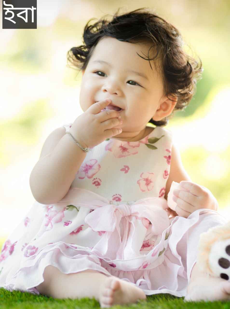 ইবা নামের অর্থ কি? Iba Name meaning in Bengali