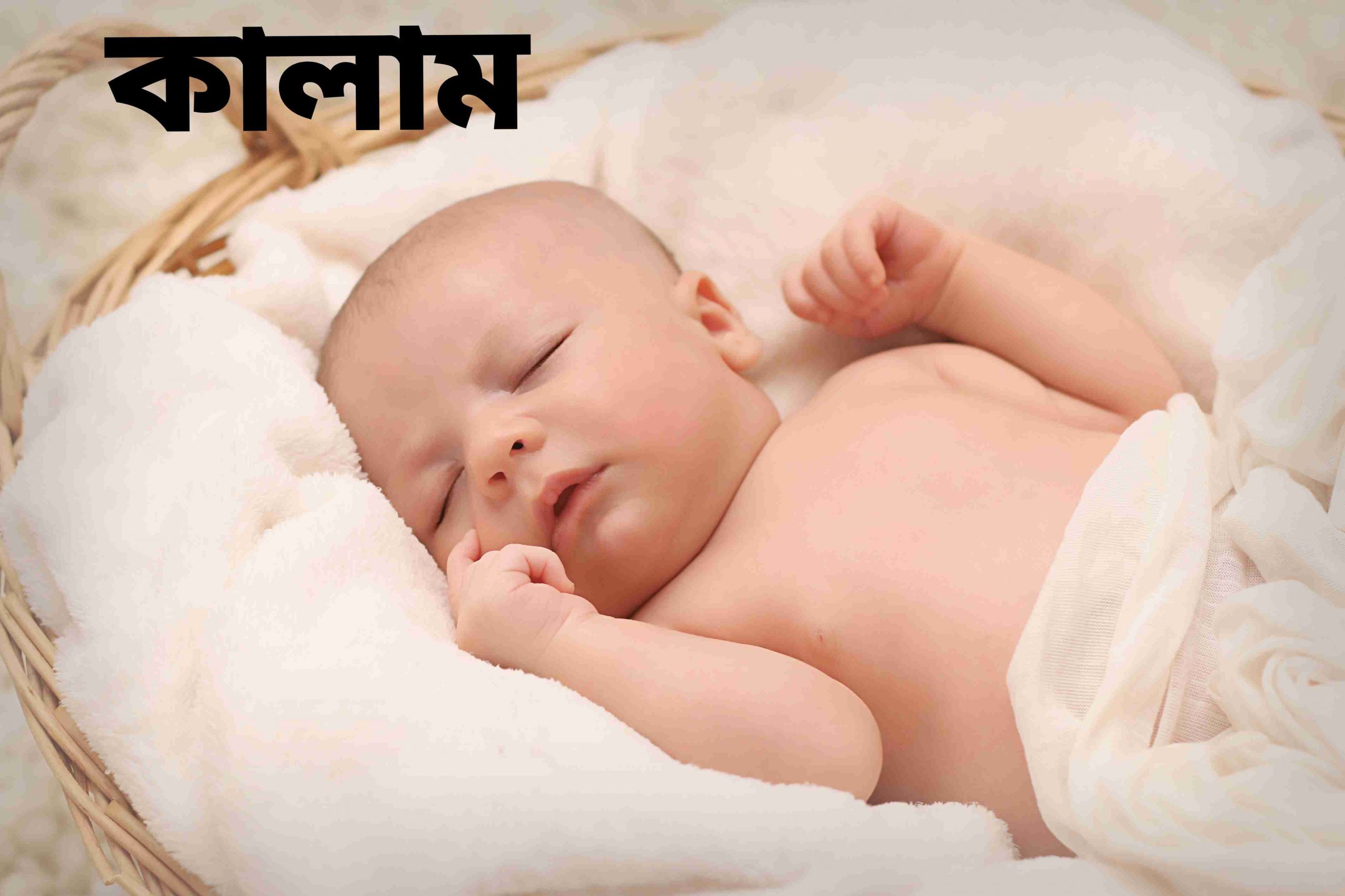 কালাম নামের অর্থ কি? kalam Name meaning in Bengali -