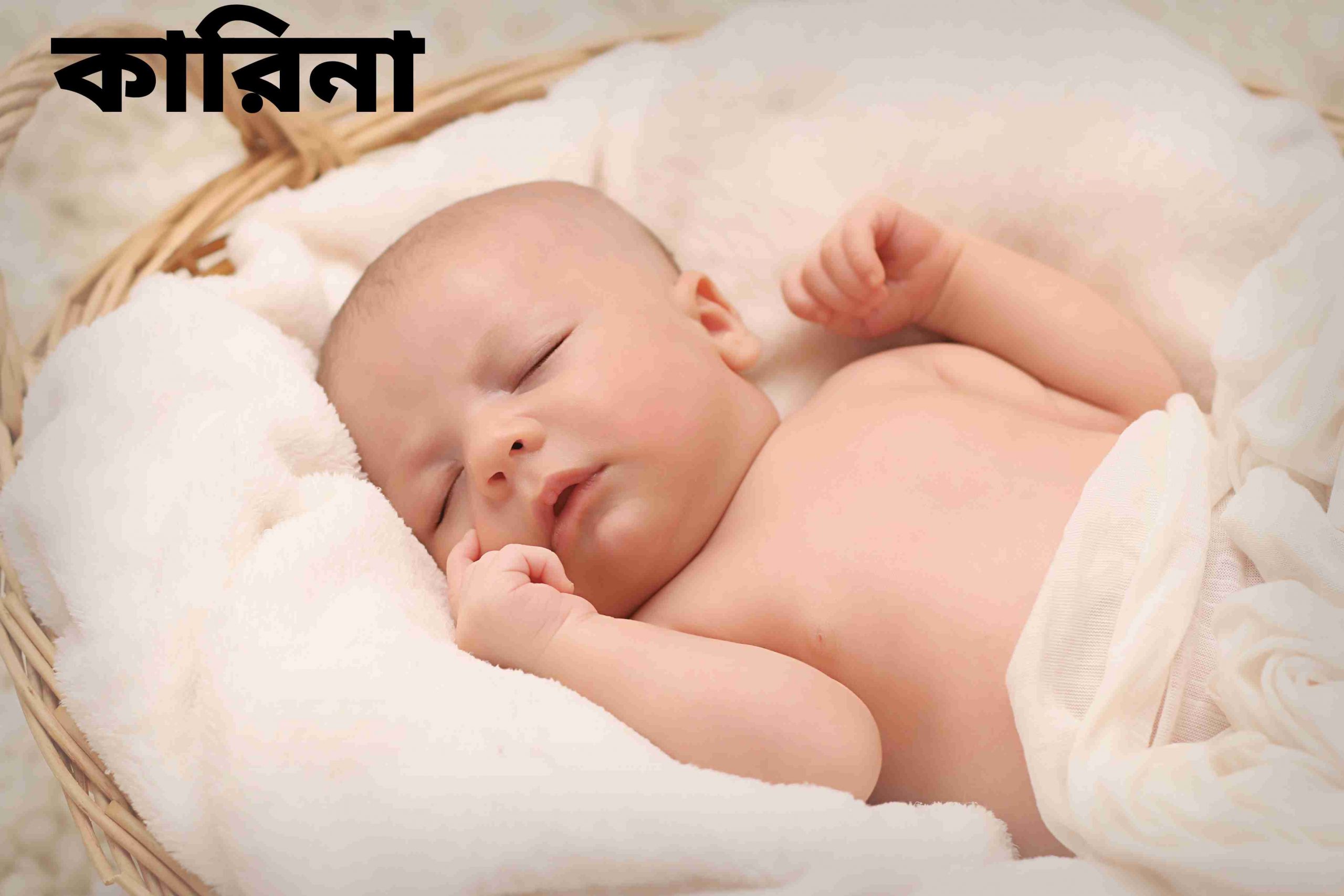 কারিনা নামের অর্থ কি? karina Name meaning in Bengali