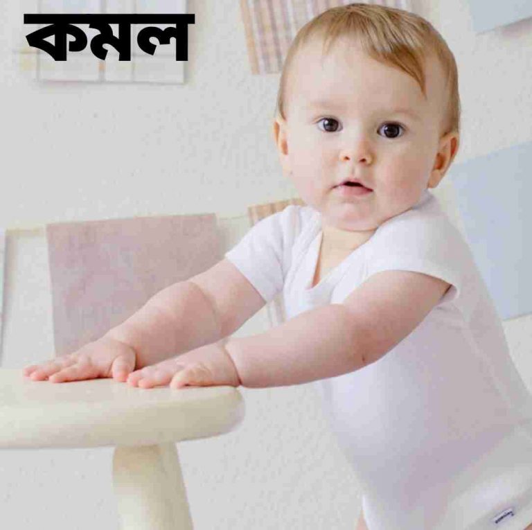 কমল নামের অর্থ কি? Kalom Name meaning in Bengali