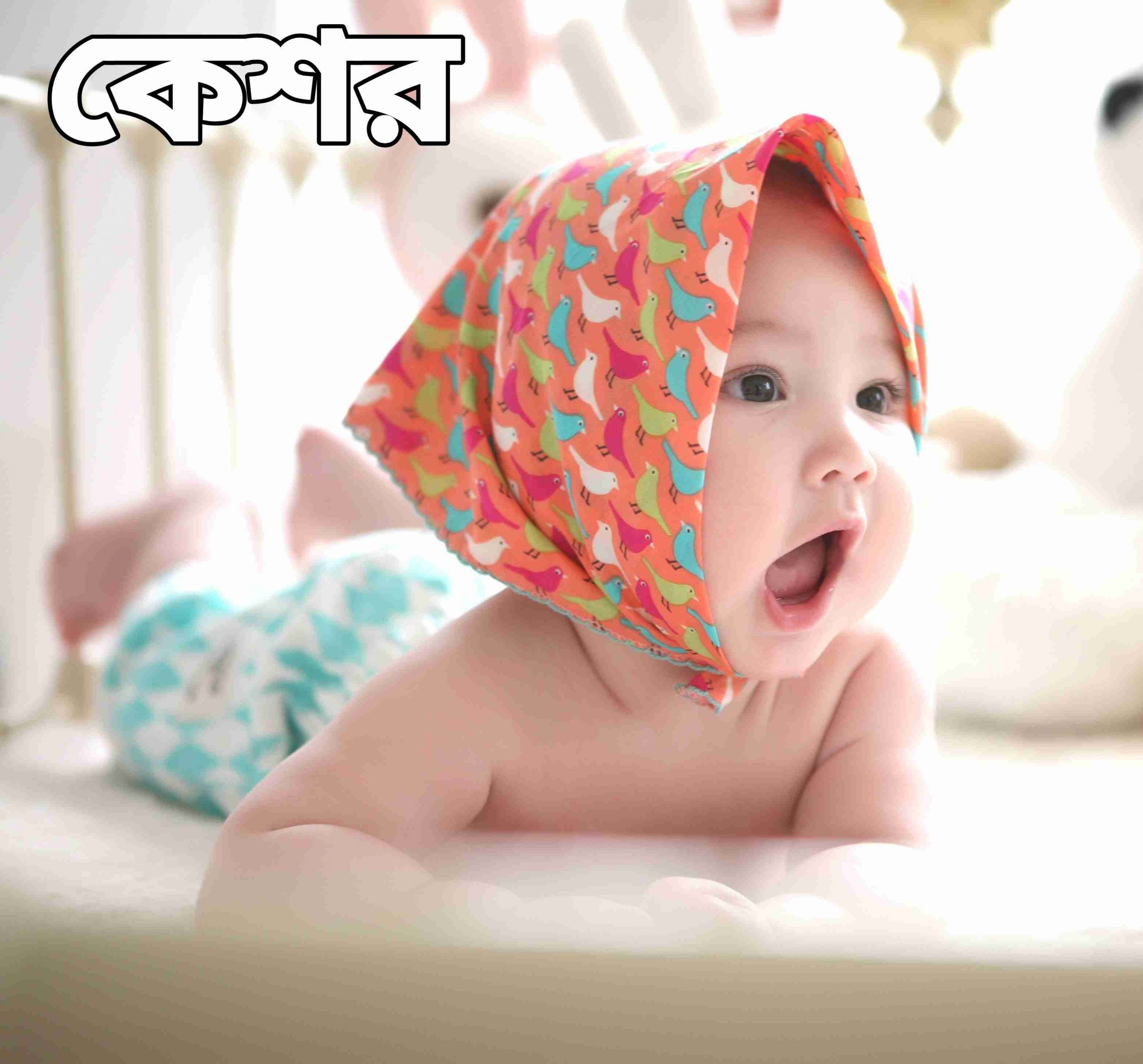 কেশর নামের অর্থ কি? keshor Name meaning in Bengali