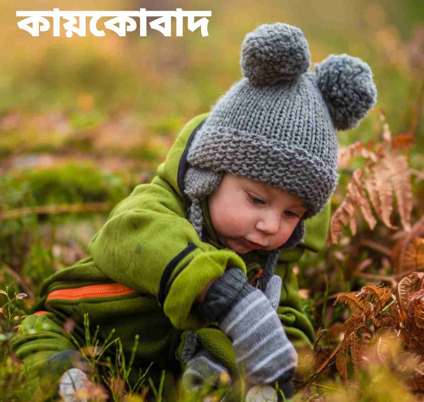 কায়কোবাদ নামের অর্থ কি? Kaybobad Name meaning in Bengali