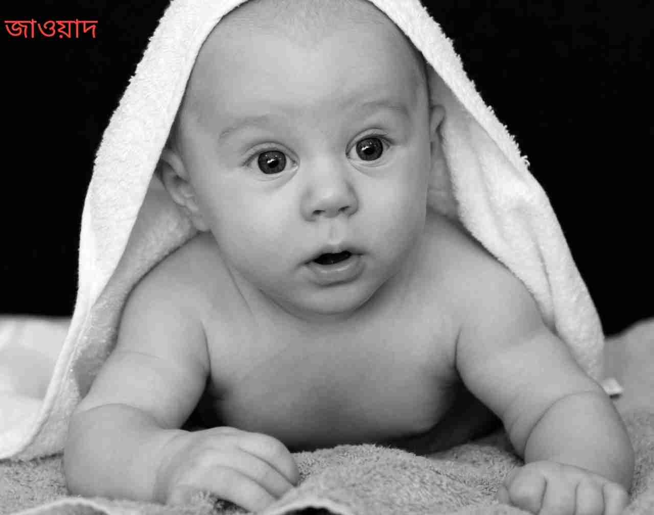 জাওয়াদ নামের অর্থ কি? Jawad Name meaning in Bengali