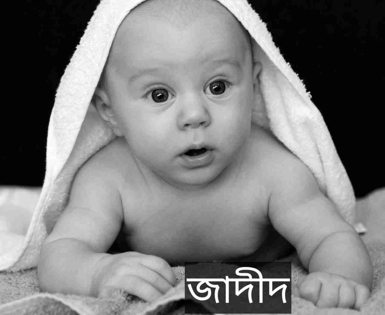 জাদীদ নামের অর্থ কি? Jadid Name meaning in Bengali