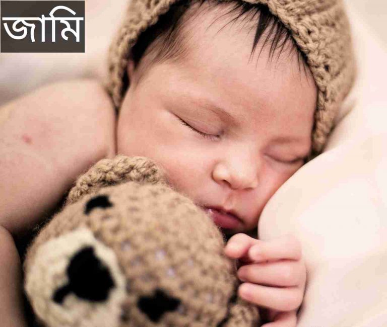 জামি নামের অর্থ কি? Jami Name meaning in Bengali