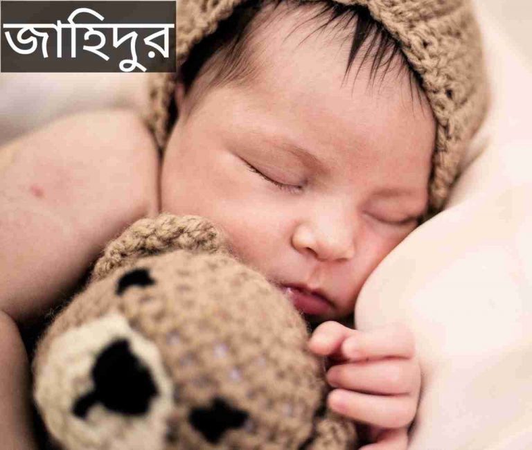 জাহিদুর নামের অর্থ কি? Jahidur Name meaning in Bengali