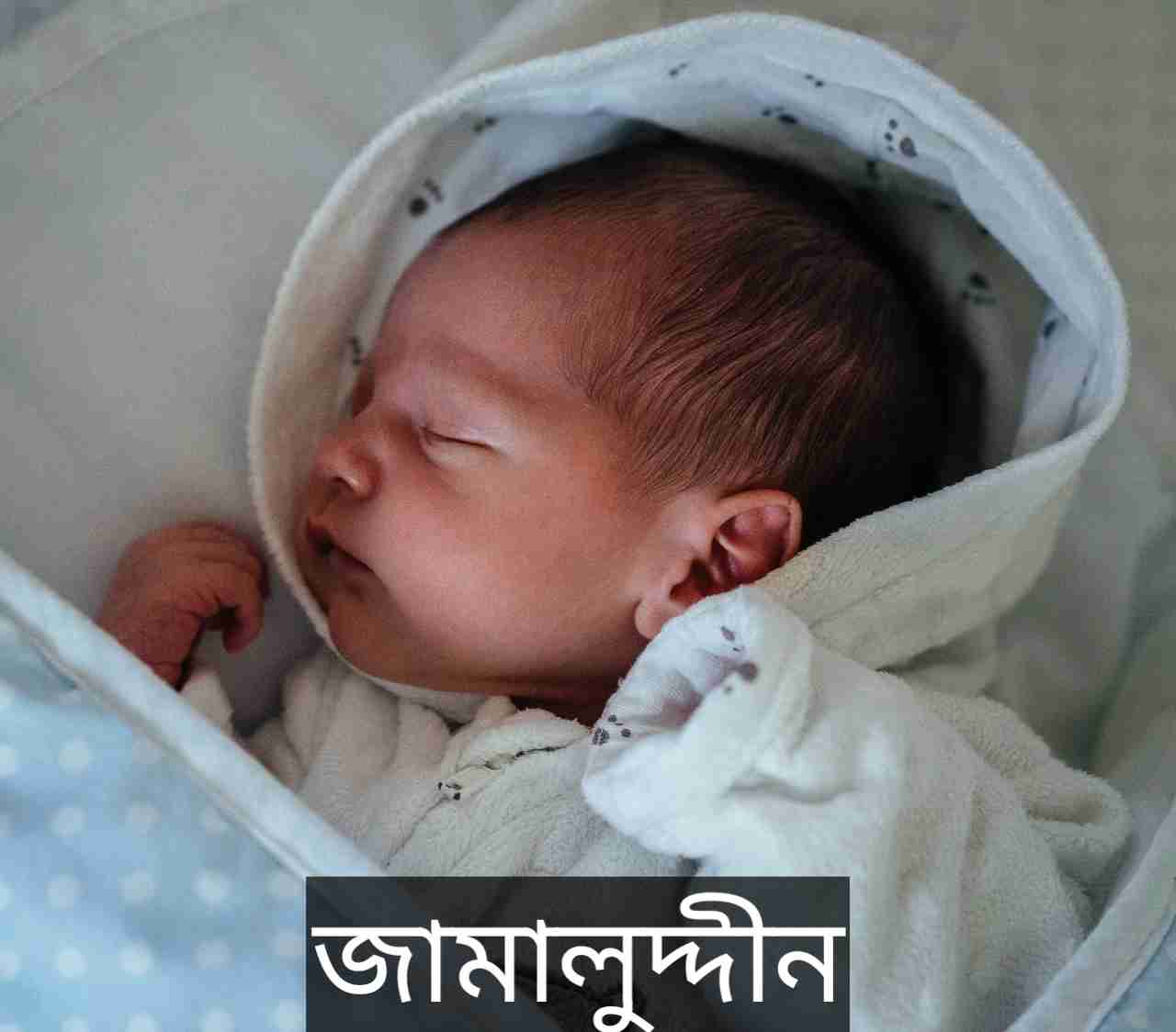 জামালুদ্দীন নামের অর্থ কি? Jamaluddin Name meaning in Bengali