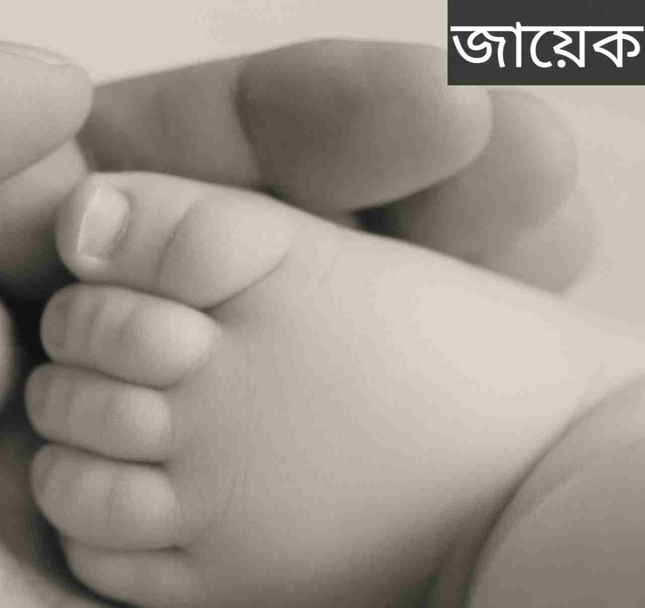 জায়েক নামের অর্থ কি? Zayk Name meaning in Bengali