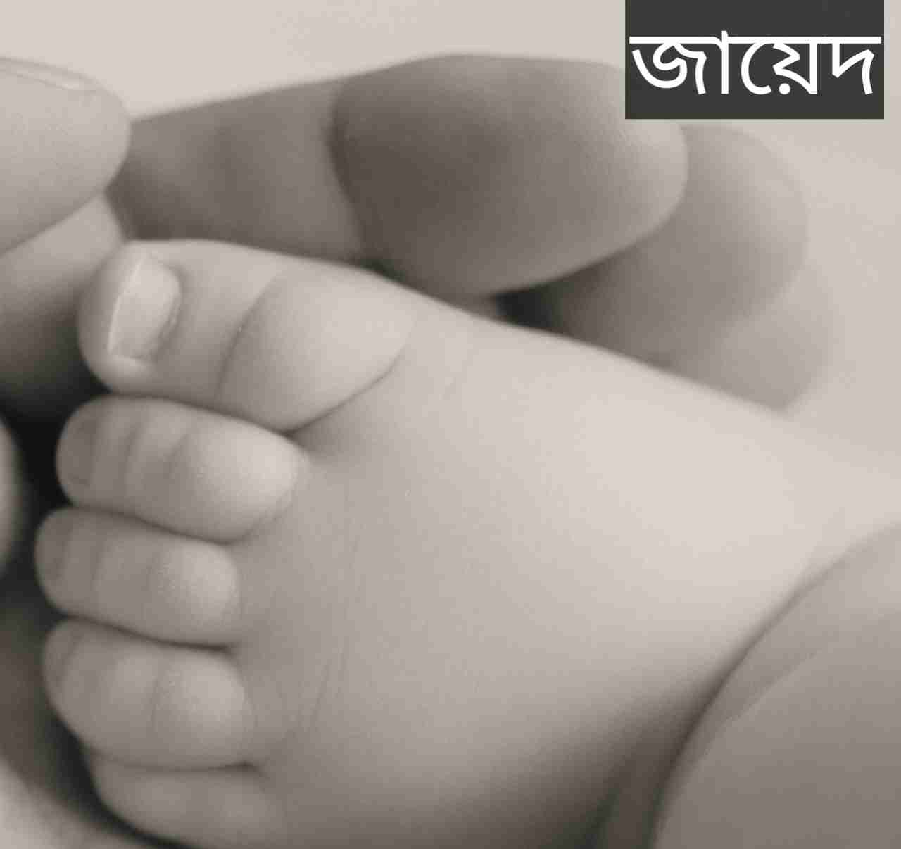 জায়েদ নামের অর্থ কি? Zayed Name meaning in Bengali