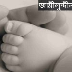 জামীলুদ্দীন নামের অর্থ কি? Jamilullah Name meaning in Bengali