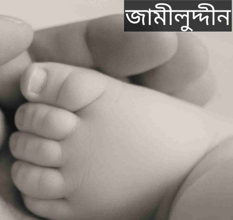জামীলুদ্দীন নামের অর্থ কি? Jamilullah Name meaning in Bengali