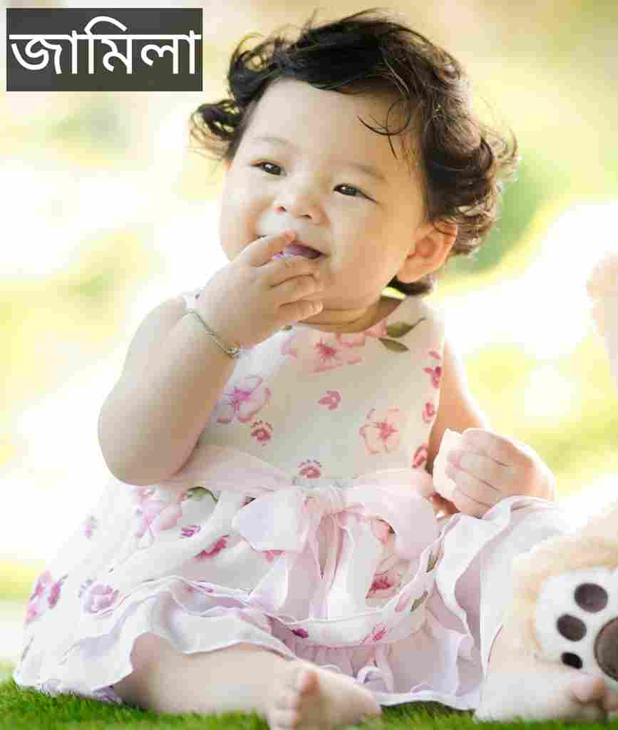 জামিলা নামের অর্থ কি? Jamila Name meaning in Bengali