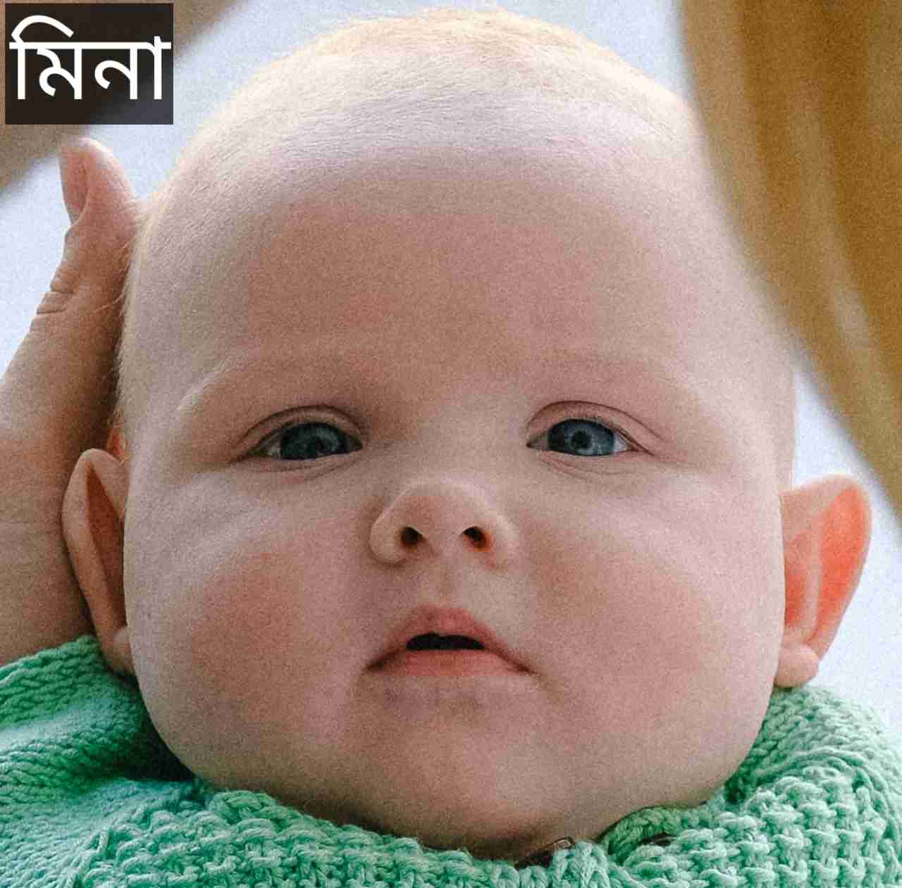 মিনা নামের অর্থ কি? Mina Name meaning in Bengali