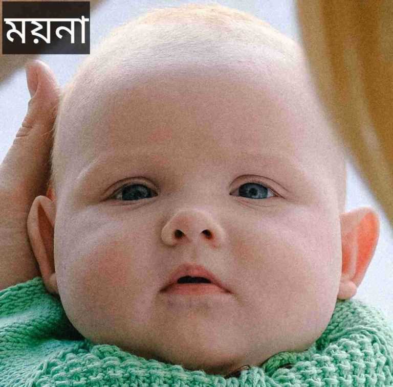 ময়না নামের অর্থ কি? Moyna Name meaning in Bengali