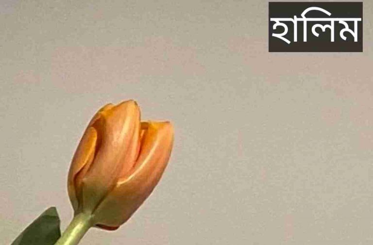 হালিম নামের অর্থ কি? Halim Name meaning in Bengali