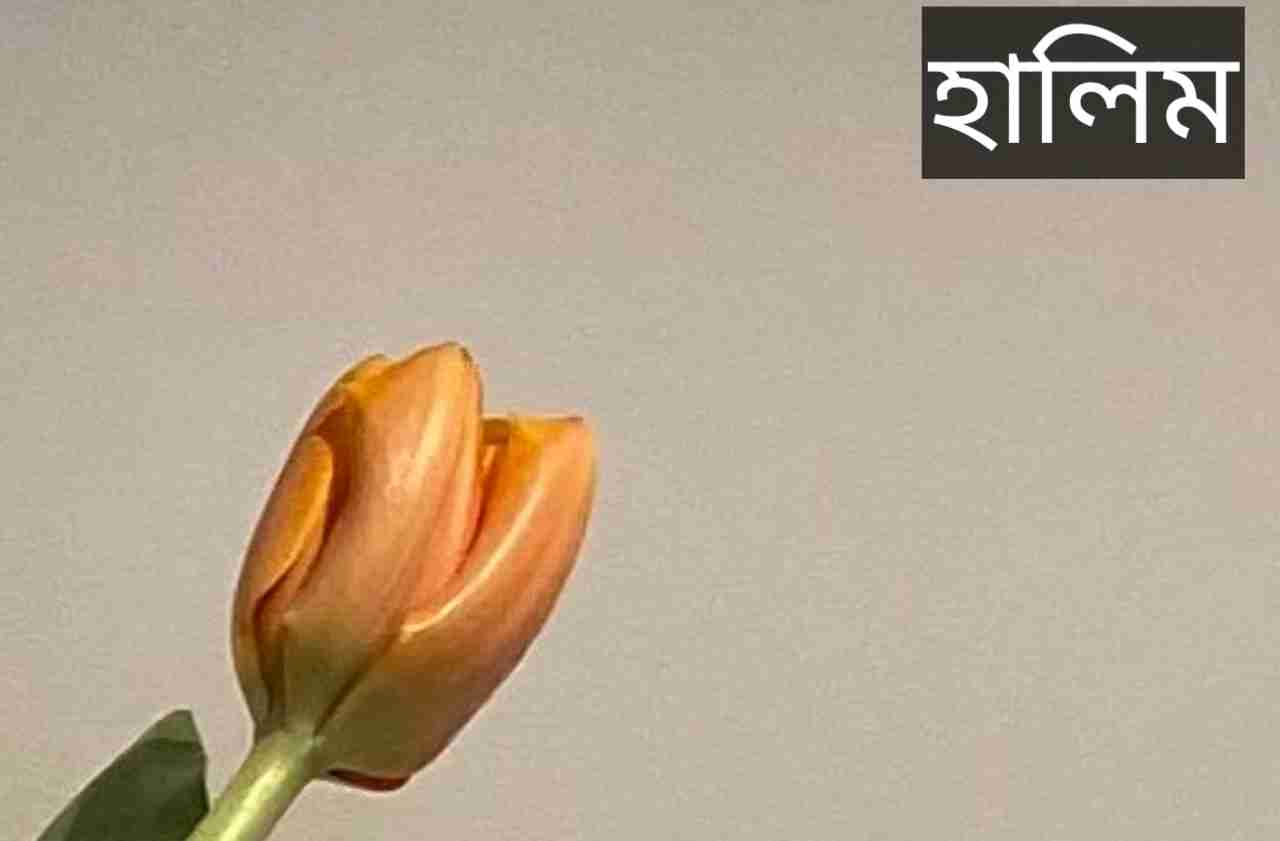 হালিম নামের অর্থ কি? Halim Name meaning in Bengali