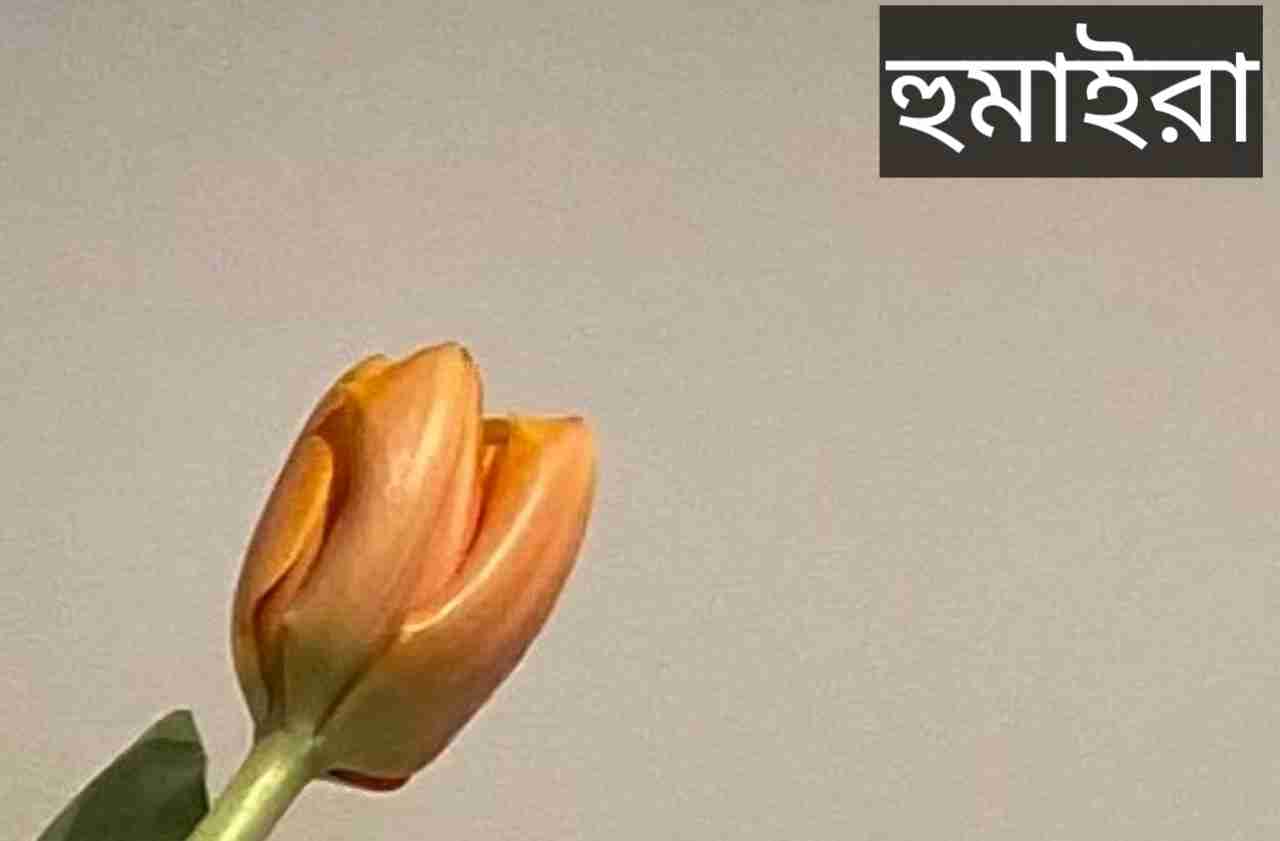 হুমাইরা নামের অর্থ কি? Humaira Name meaning in Bengali