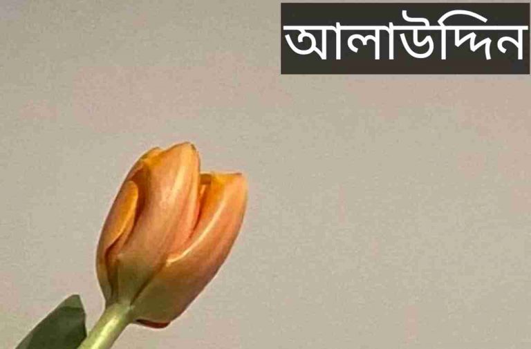 আলাউদ্দিন নামের অর্থ কি? Alauddin Name meaning in Bengali