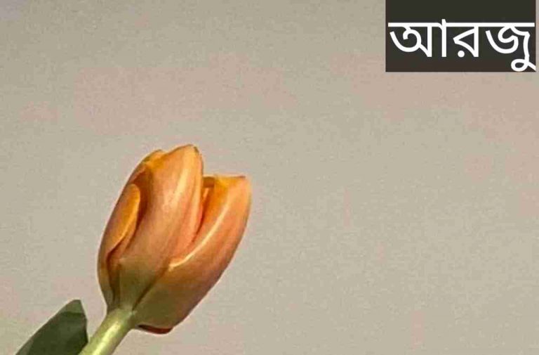 আরজু নামের অর্থ কি? Arju Name meaning in Bengali