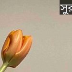 সুরভি নামের অর্থ কি? Surbhi Name meaning in Bengali